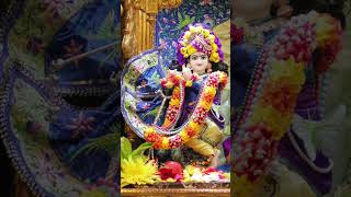 Radhe Radhe Jap Karo Narayan Narayan 🥰👏🙌❤️🙏 [upl. by Noryv]