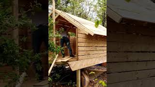 Building chicken coop for cage free hens  teaser henshouselife cagefreefarm coommonerlife howto [upl. by Drislane593]