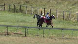 Tumbarumba 27 01 2024 Race 6 [upl. by Rorke652]