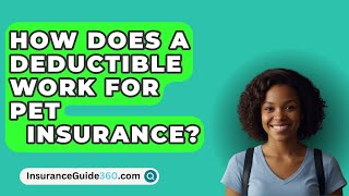 How Does A Deductible Work For Pet Insurance  InsuranceGuide360com [upl. by Decima]