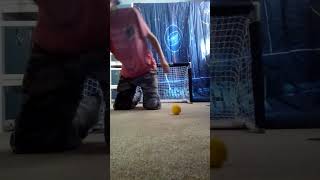 My knee hockey Sticks [upl. by Abbotsun106]