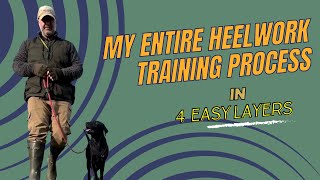 My Entire Heelwork Training Process In 4 Easy Layers [upl. by Euqinomahs]