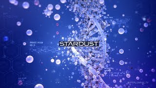 Stardust  New version 13 [upl. by Bilat]