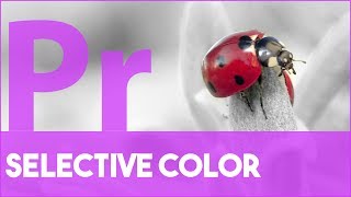 Selective Color in Premiere Pro [upl. by Radnaxela732]