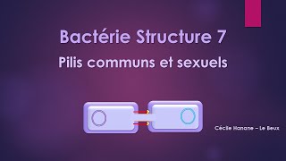 Bactérie Structure 7 PILS FIMBRIAE sans musique de fond [upl. by Aynik]