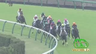 20230415 Nakayama Grand Jump JPN  Irogotoshi [upl. by Aletse]