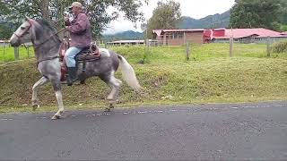 Cabalgando en Tierras Altas Cerro Punta [upl. by Gine]