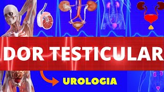 DOR TESTICULAR EPIDIDIMITE E TORÇÃO TESTICULAR  CAUSAS SINTOMAS E TRATAMENTO  UROLOGIA [upl. by Milzie]