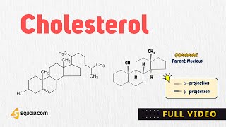 Cholesterol Biosynthesis Pathway  Lipid Biochemistry  VLearning™ [upl. by Magner]