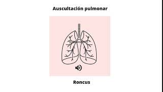 Ruidos respiratorios agregados  Roncus [upl. by Jami389]