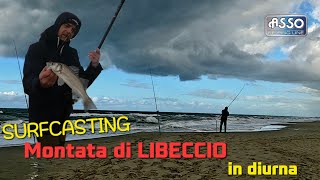 Montata veloce di Libeccio in diurnamare da Surfcasting [upl. by Aimehs]