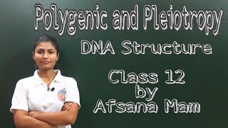 Polygenic Inheritance and Pleiotropy DNA structure Class 12 CBSE [upl. by Yemerej]