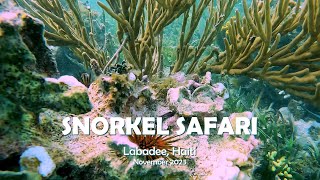 Labadee Snorkel Safari [upl. by Clo]