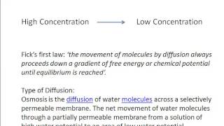 Mineral absorption in plants in Animation science [upl. by Kano]