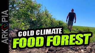 Permaculture Prepping  Cold Climate Food Forest on the prairies [upl. by Issirk]