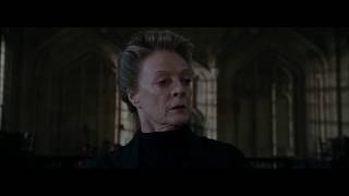 Harry Potter Remix  McGonagall Babbling Bumbling Band Of Baboons [upl. by Ihdin]