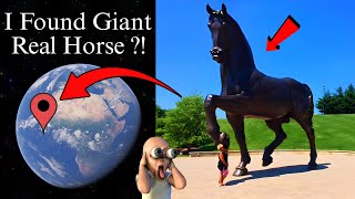 I Found Strange Giant Horse In Real Life Caught On Google Maps And Google Earth 😰 [upl. by Jesher]