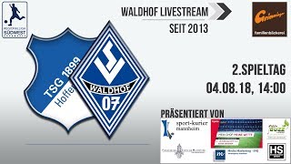 2Spieltag TSG Hoffenheim II  SV Waldhof [upl. by Afas]