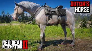 Proper Way To Get Dutchs Albino Arabian Horse  RDR 2 [upl. by Dich]