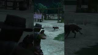 Killing the foxes on the farm RDRGameplay WildWestGame RockstarGames GamboPlays [upl. by Eannyl157]