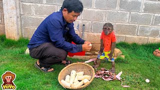 Grandpa takes YoYo Jr to harvest vegetables and cook delicious food  Full version [upl. by Yornek]