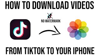 How to download videos from TikTok to your iphoneandroid without watermark [upl. by Irallih]