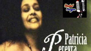 Patricia Pereyra  Cantante Dominicana  El Gato  Ciudad Corazon [upl. by Concordia]