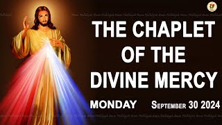 Chaplet of the Divine Mercy I Monday September 30 2024 I Divine Mercy Prayer I 1200 PM [upl. by Alyakim]