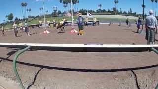 Heavy Athletics at the Scottish Highland Gathering and Games in Pleasanton [upl. by Linus159]