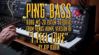 Ping Bass  KORG MS20 PatchTutorial [upl. by Hgielrak]