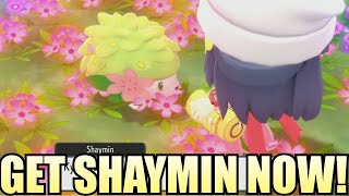 GLITCH How to catch Shaymin NOW in Pokemon Brilliant Diamond Shining Pearl [upl. by Amuwkuhc]