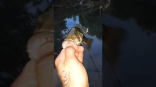 another work week uncle neice caterpillar fishing westvirginia [upl. by Strickler291]