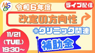 令和6年度診療報酬改定の方向性とクリニック関連補助金の概要 【医療機関・調剤薬局向け】 [upl. by Drawde]