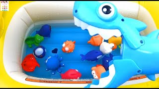 Learn Sea Animal Sea Creature Names English Korean SHARK ATTACK바다동물 바다생물 영어 이름 배우기 상어 공격 [upl. by Leber605]