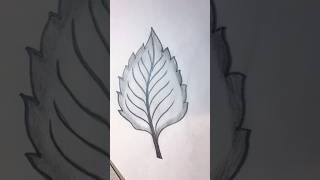 How to draw Leaf  Easy Leaf Drawing  Leaf skech shorts leafdrawing [upl. by Ainival]