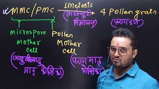 QHOW MANY MEIOSIS ARE REQUIRED FOR THE FORMATION OF 200 pollen grainsBYGKMISHRAchapter2NEET [upl. by Sheila920]