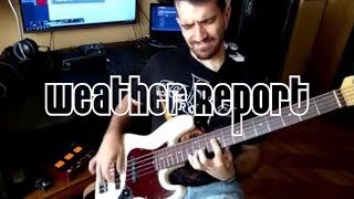 Weather Report  Havona Bass cover [upl. by Ydualc510]