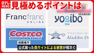 【通販偽サイト】被害相次ぐ 消費者庁が注意喚起 “見破る”3つのポイントは [upl. by Mendy]