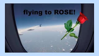 Traveling to the ROSE Doll Show 2017 [upl. by Rozelle]