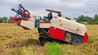 Amazing Combine Harvester Machine On Process and Harvesting Rice Agricultural Product  25 [upl. by Peddada433]