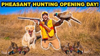 DOUBLE BARREL Shotgun PHEASANT Hunting CHALLENGE Catch Clean Cook [upl. by Ylak272]