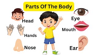 Parts of Body  Body Parts Name  Name of Body Parts in English with Pictures [upl. by Egbert882]