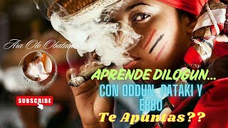 APRENDE GRATIS DILOGUN CON ODDUN PATAKI Y EBBO [upl. by Stella46]