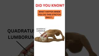 Quadratus Lumborum Stretch shortsshortsvideoviralexercisehealthhealthyhealthylifestyle [upl. by Darahs]