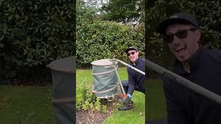 Removing This Spiky Holly Tree removal diygarden diy satisfying stihl lawncare lawn yes [upl. by Aunson]