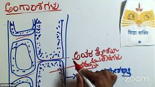 Karnataka Classes For Standards 8th 9th And 10th [upl. by Cody571]