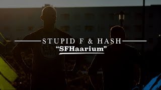 Stupid F amp Hash quotSFHaariumquot uus album nüüd väljas [upl. by Ellenuahs]