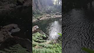 cascada de ecoturístico texme agua vivaTenango de doria hgo [upl. by Ludba]