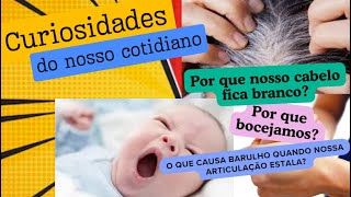 ⭐⚫Curiosidades do nosso cotidiano Por que nosso cabelo fica branco Por que bocejamos [upl. by Haneen]