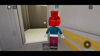 Roblox luxiar elevator all lifts fast and rare [upl. by Cleavland149]